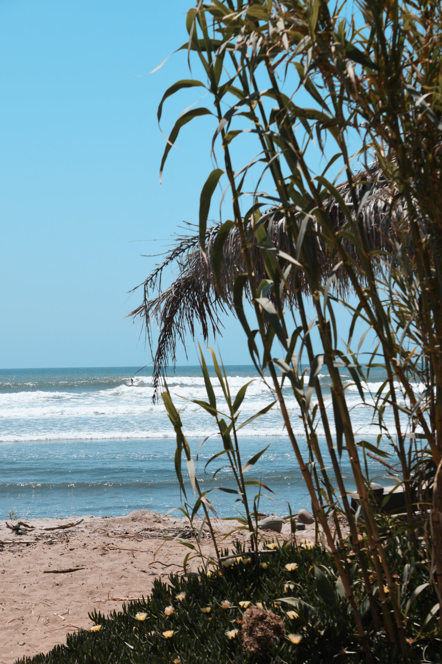 Californian moments 13