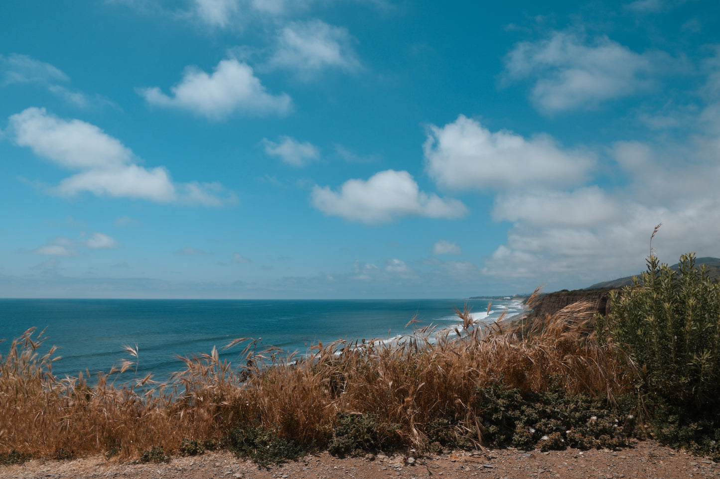 Californian moments 16