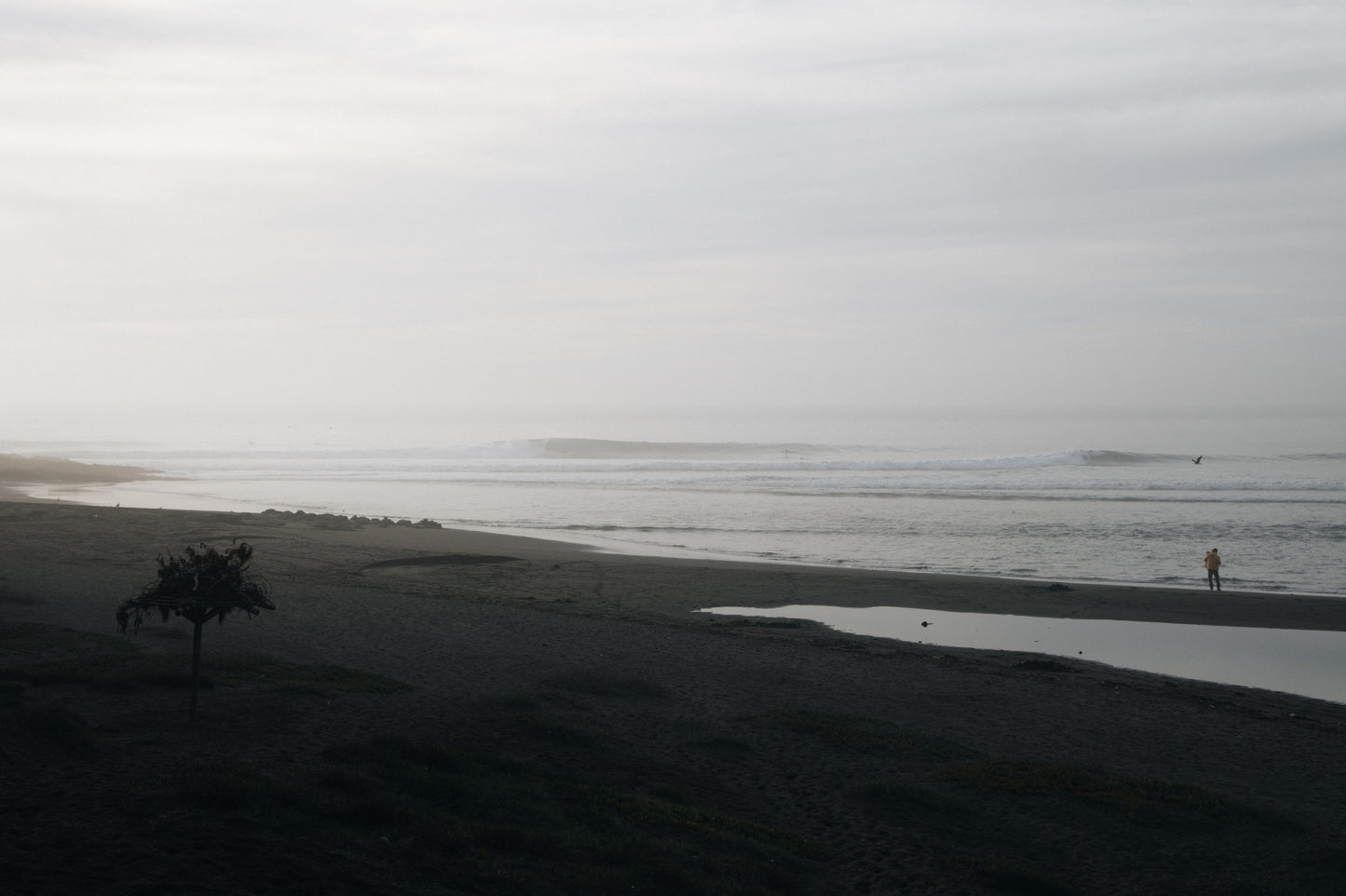 Sombras del Invierno 4