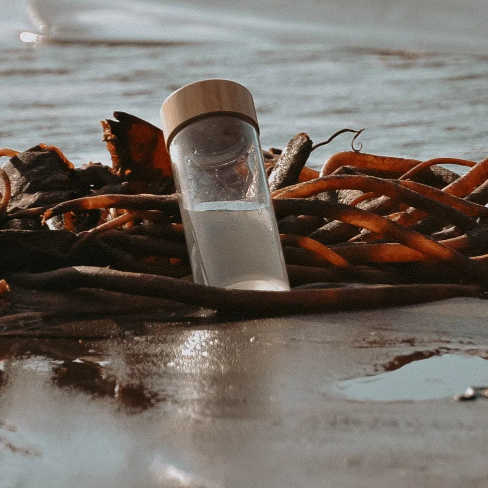 Botella de Vidrio