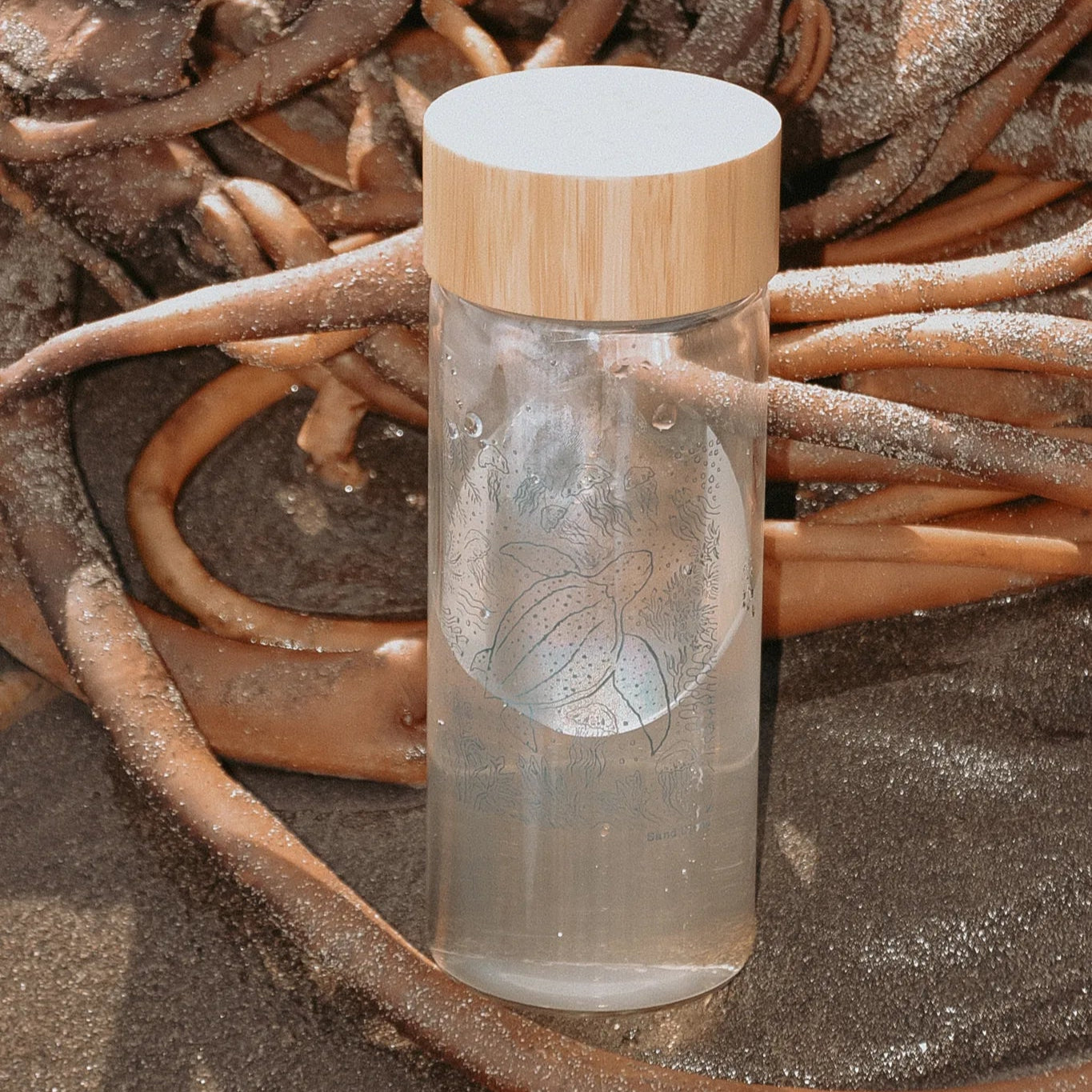 Botella de Vidrio