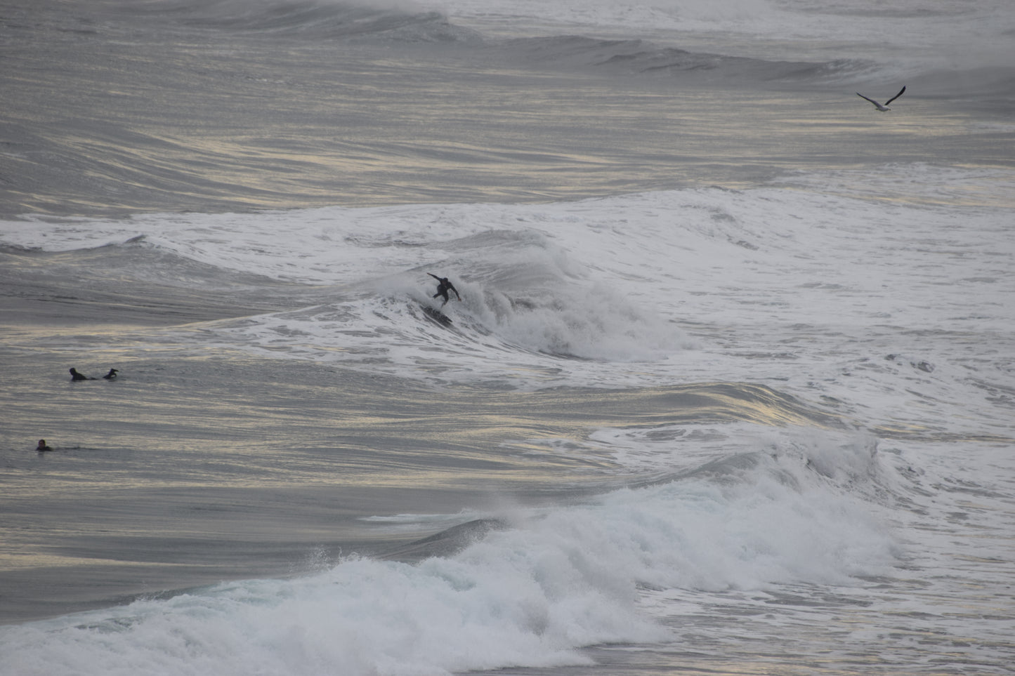 Winter Breeze 1