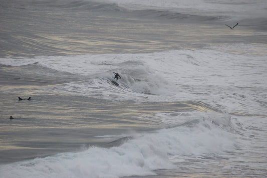 Winter Breeze 1