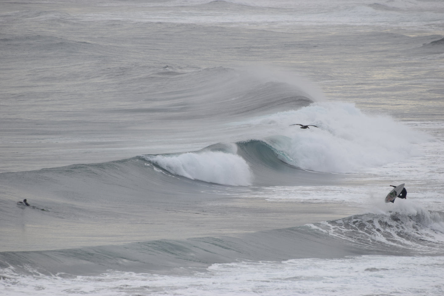 Winter Breeze 3