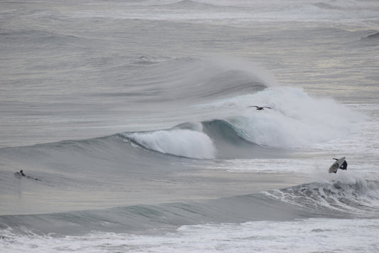 Winter Breeze 3