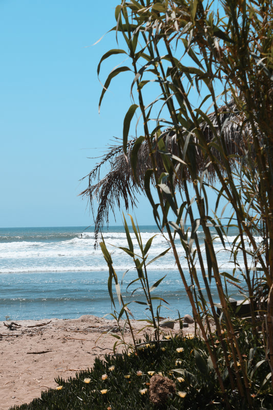 Californian moments 13