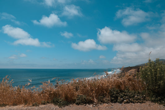 Californian moments 16