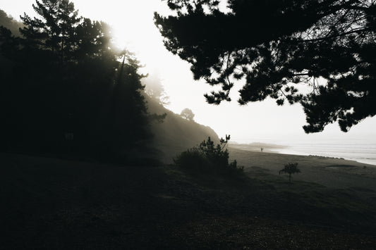 Sombras del Invierno 3