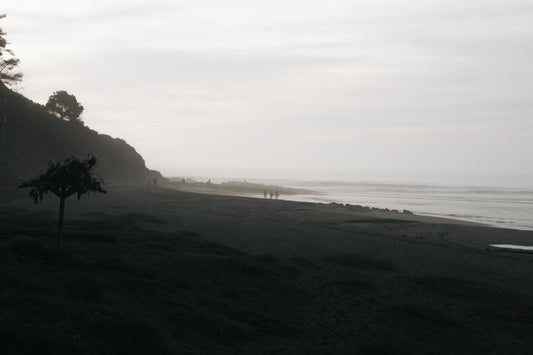 Sombras del Invierno 5
