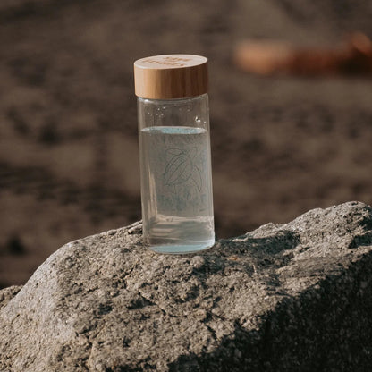 Botella de Vidrio