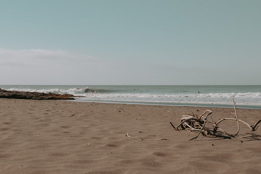 Puertemood 5